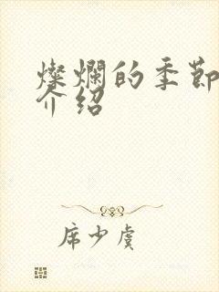 灿烂的季节剧情介绍