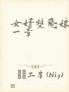 女婿双飞娘俩第一章