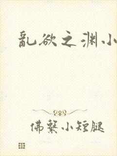 乱欲之渊小说封面