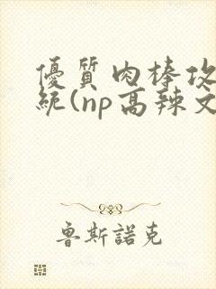 优质肉棒攻略系统(np高辣文)