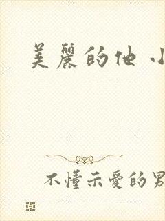 美丽的他 小说封面