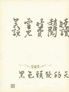 吴雪晴赵晓东小说免费阅读