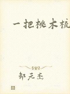 一把桃木梳封面