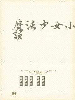 魔法少女小圆小说