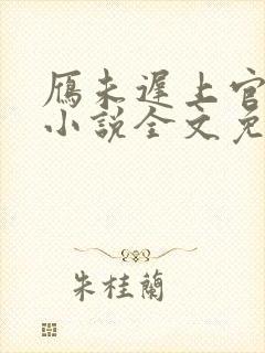 雁未迟上官穿越小说全文免费阅读