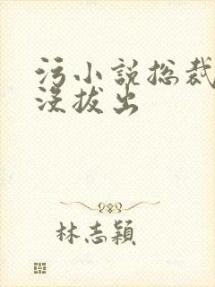 污小说总裁整夜没拔出