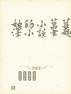 她的小草莓魏承泽小说笔趣阁封面