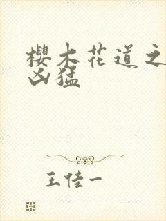 樱木花道之重生凶猛