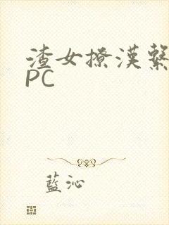 渣女撩汉系统NPC