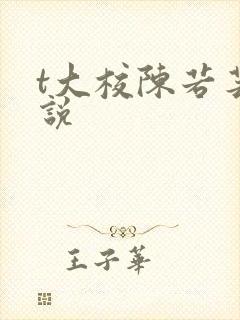 t大校陈若芸小说