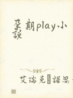 孕期play小说