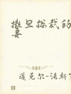 撒旦总裁的下堂妻