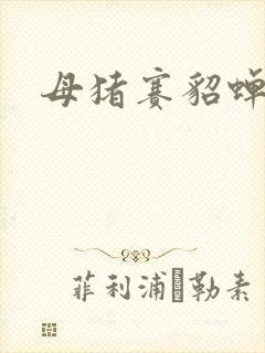 母猪赛貂蝉封面