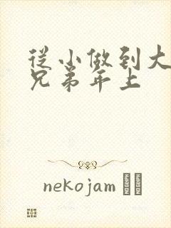 从小做到大骨科兄弟年上