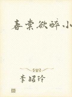 春棠欲醉小说封面