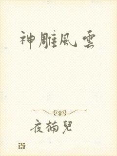 神雕风云
