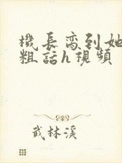 机长脔到她哭h粗话h视频