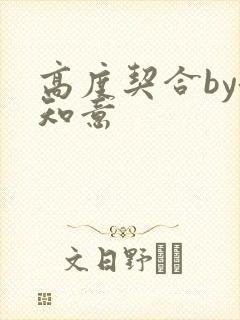 高度契合by洛知意封面