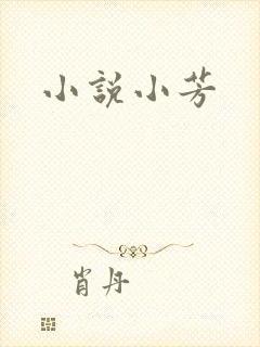 小说小芳