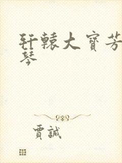 轩辕大宝芳菲雅琴