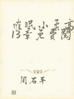 催眠小柔高达第13章免费阅读