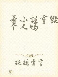 看小说会毁掉一个人吗