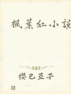 枫叶红小说封面