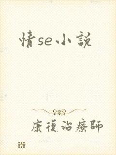 情se小说