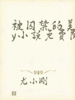 被囚禁的美人by小说免费阅读