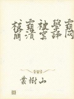 校霸被学霸玩到崩溃云译网