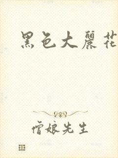 黑色大丽花图片