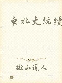 东北大炕续集封面