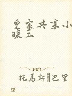 皇家共享小公主暖玉