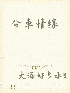 公车情缘