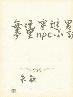 每晚穿进男神的梦里npc小说