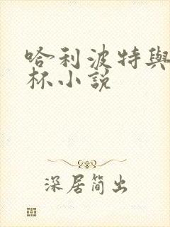 哈利波特与火焰杯小说