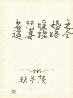 名门暖婚之权爷追妻攻略全文免费阅读