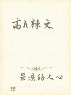 高h辣文封面
