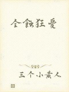 全蚀狂爱封面