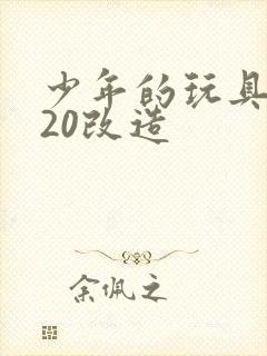 少年的玩具1一20改造