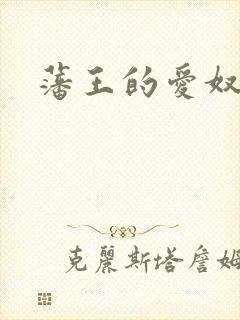 藩王的爱奴封面