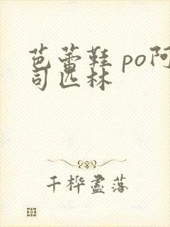 芭蕾鞋 po阿司匹林封面