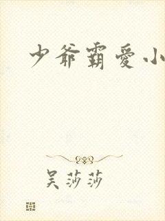 少爷霸爱小丫头