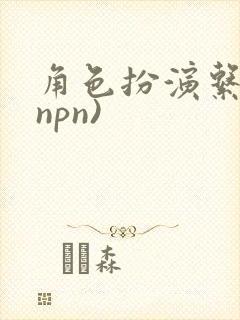 角色扮演系统(npn)