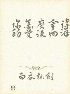 你怎么舍得让我的爱流向海封面