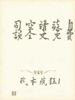 司空靖苏月汐小说全文免费阅读