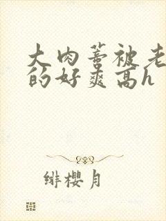 大肉蒂被老头嘬的好爽高h封面