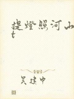 提灯照河山txt封面