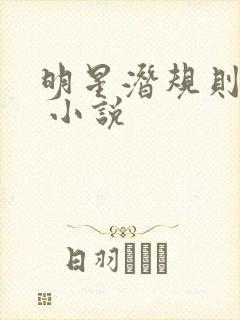 明星潜规则之皇 小说