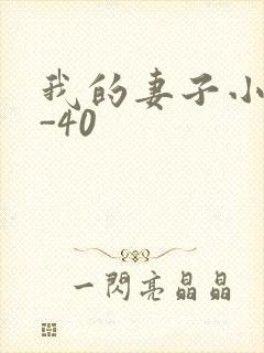 我的妻子小谨1-40
